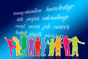 乐鱼体育入口-中国篮球职业联赛品牌战略及市场推广研究，中国的职业篮球联赛