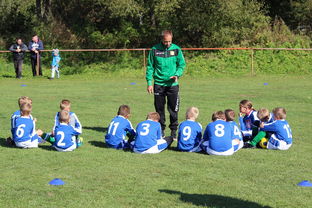 乐鱼体育在线入口-意甲赛事中应用心理暗示战术干预效果研究